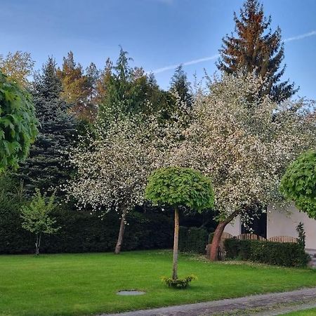 Pod Jablonia Villa Bydgoszcz Buitenkant foto