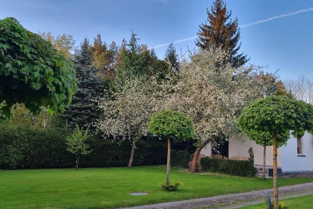 Pod Jablonia Villa Bydgoszcz Buitenkant foto