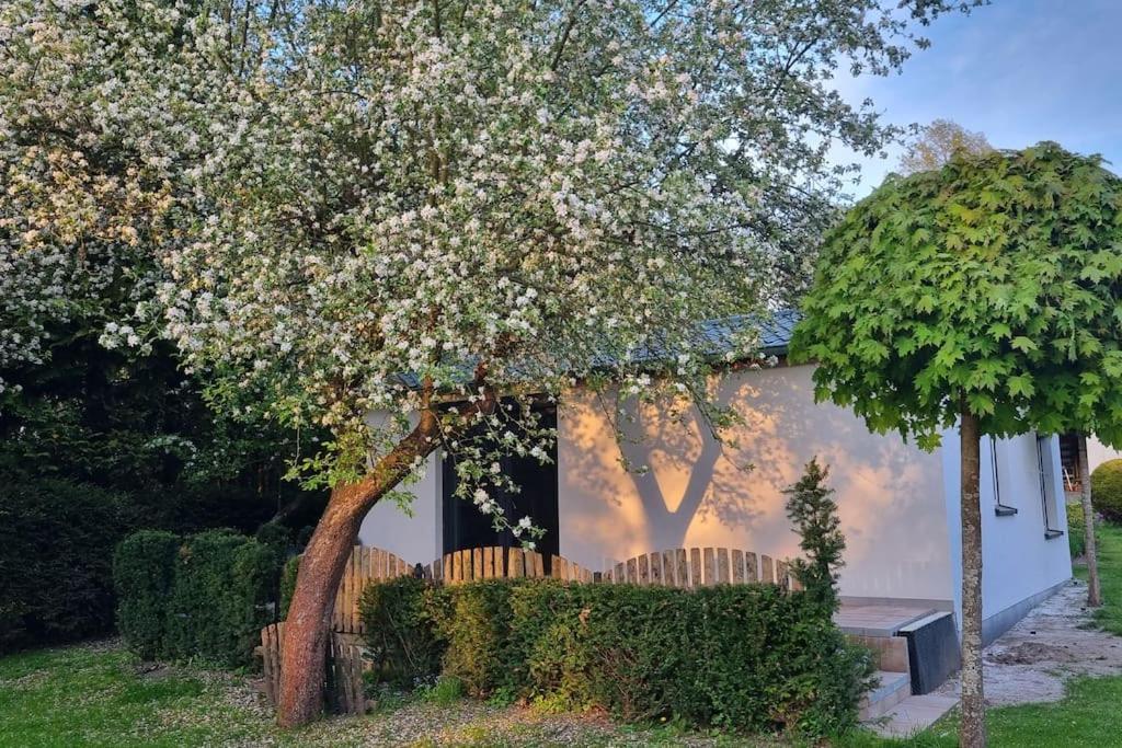 Pod Jablonia Villa Bydgoszcz Buitenkant foto