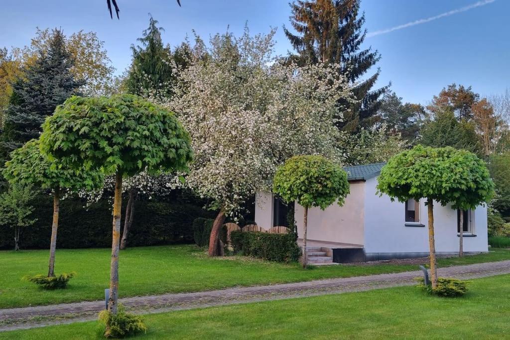 Pod Jablonia Villa Bydgoszcz Buitenkant foto